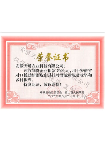 捐款榮譽證書
