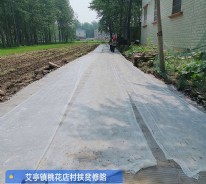 艾亭鎮(zhèn)桃花店村道路義務(wù)援建工程