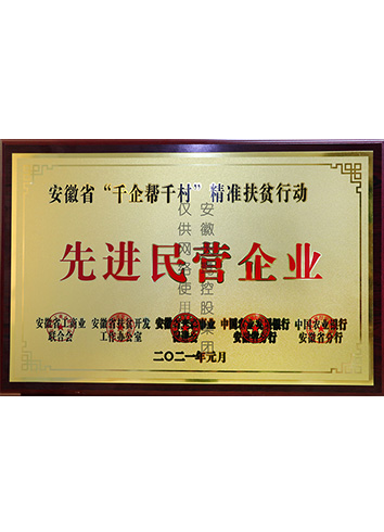 安徽省“千企幫千村”精準扶貧行動“先進民營企業”榮譽稱號