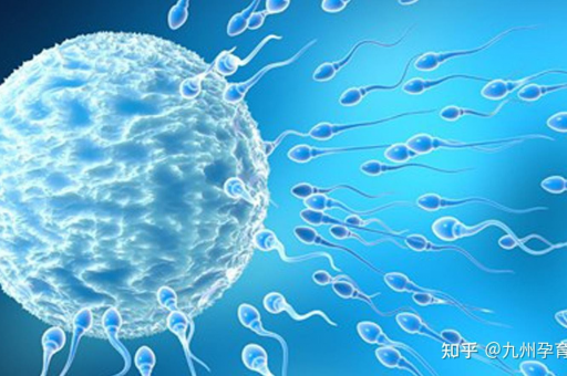 上海供卵试管代妈代怀(上海试管婴儿医院提供代孕及供卵服务)